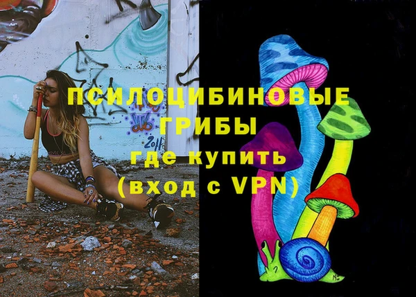 apvp Александровское
