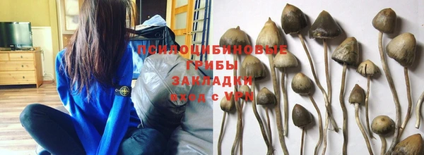 COCAINE Кущёвская