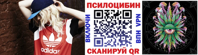 Галлюциногенные грибы Psilocybine cubensis Купить где Пикалёво
